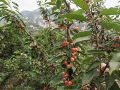 -大泽山风景名胜区