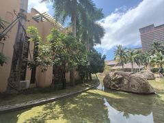 -海南椰子鸡餐厅(三亚湾红树林店)