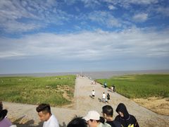 -南汇嘴观海公园