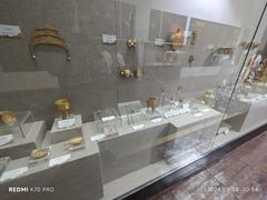 -烟台自然博物馆