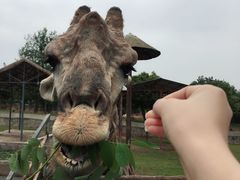 -西安秦岭野生动物园