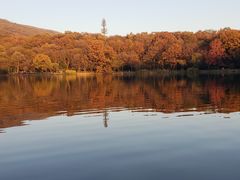 -紫霞湖公园