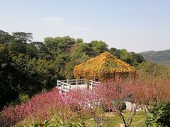-桃花涧