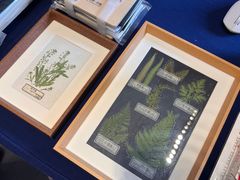 -三亚湾红树林国际会展中心(演出售票)