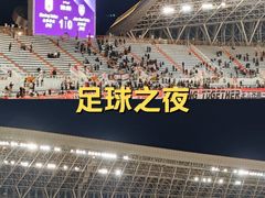-济南奥林匹克体育中心体育场