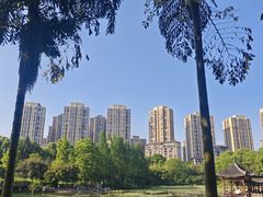 -龙头寺公园