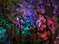 -爵士花园音乐酒吧餐厅