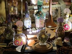 -雪灵魔法世界SHELLY’S TAROT(大良桂畔里店)