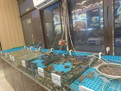 -渡海小渔村.老辈日照菜