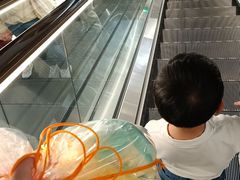 -汤姆熊欢乐世界(正大店)