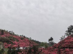 -木兰云雾山