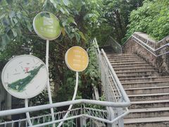 -佛山华盖山公园