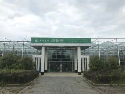 -水八仙生态园