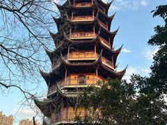 -红梅公园