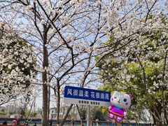 -高东镇樱花园