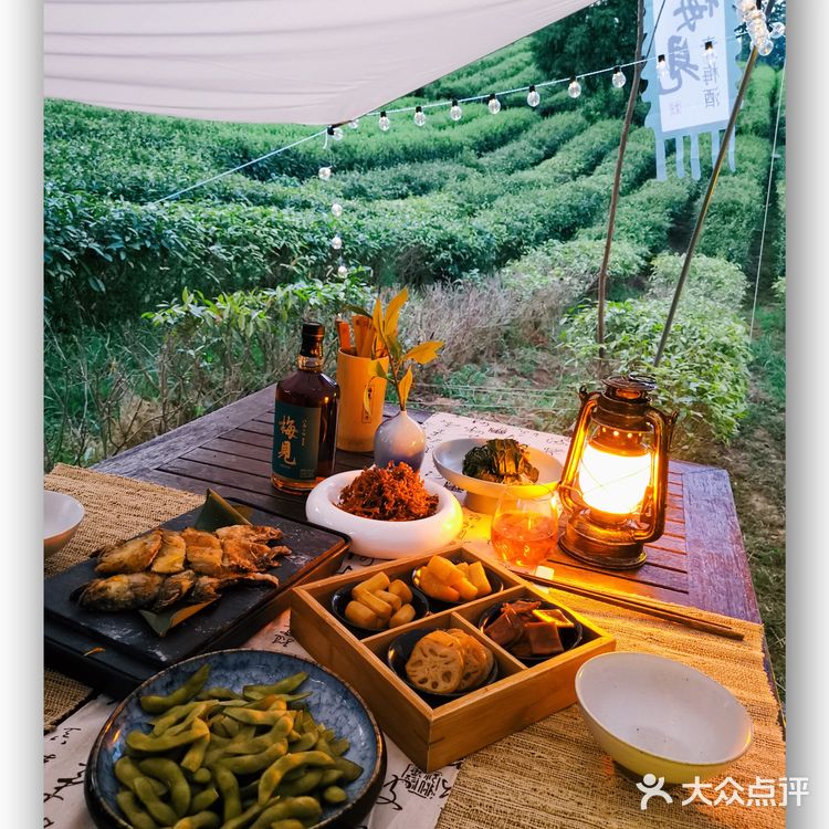 藏在森林里的宝藏避暑打卡地——梅见森林酒馆   