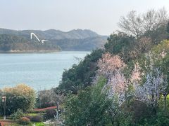 -天目湖涵田度假村