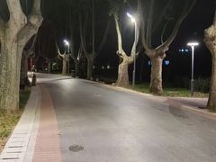 -郑州植物园