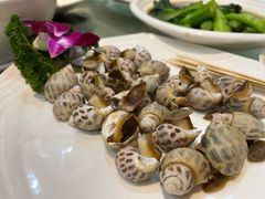 白灼小花螺-南庄酒家·海鲜粤菜·25年老字号(环城南路店)
