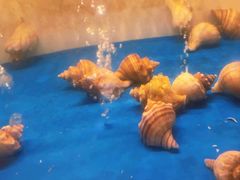 -质烤烤物·活烤海鲜(质烤总店)