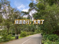 -番禺大夫山森林公园