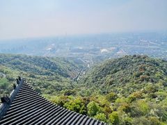 -杭州半山国家森林公园