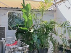 -Eckl’s爱氏热狗(猫街店)