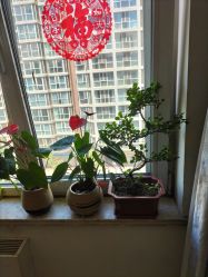 -和寿堂·艾灸·推拿按摩减肥中心