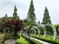 -昆山城市生态森林公园