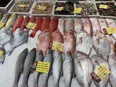 -胖大嫂渔家排档·全海景餐厅(渔村店)