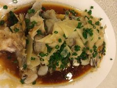 越秀渔村-越秀渔村·35年老字号(盘福路店)