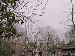 -浮庄