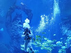 -哈尔滨波塞冬海底世界