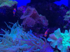 -多彩贵州城极地海洋世界