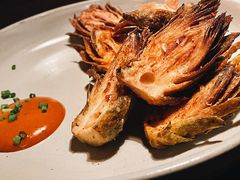 -毛辣果·酸(OHA复兴西路店)