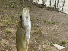 -蓝天路(地铁站)