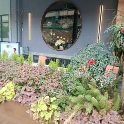 -花隐·美芙炫海菲秀皮肤管理中心