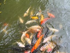 -珠海圆明新园