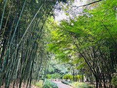 -兰亭风景区