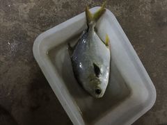 海滨假日渔家-海滨假日渔家海鲜