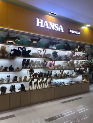 -Early Rider 儿童自行车(蓝色港湾店)