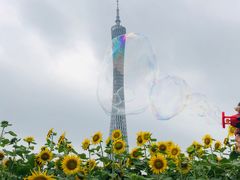 -二沙岛艺术公园