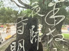 -苏州文庙(姑苏区)