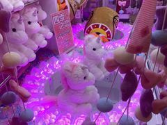 -汤姆熊欢乐世界(光启城店)