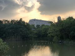 -吴淞炮台湾湿地森林公园烧烤区