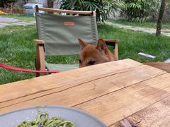 -Supine Bistro溯泮餐厅