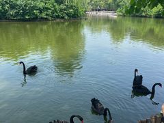 -北京野生动物园