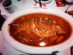 -阿五黄河大鲤鱼(英协路店)