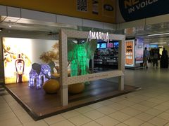 -奥利弗·雷金纳德·坦博国际机场