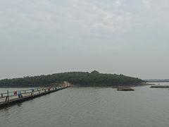 -南大港湿地风景区
